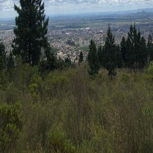 欧洲老妇色TV，
