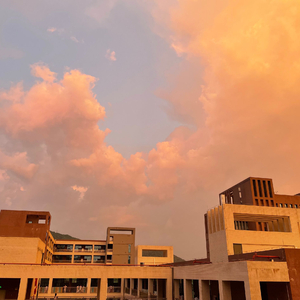 欧洲老妇色TV，
